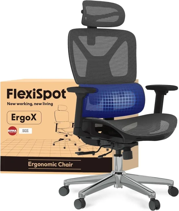 Flexispot ErgoX : Flexispot